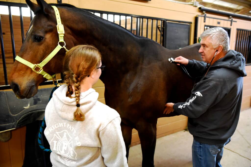 Equine Business Management Major