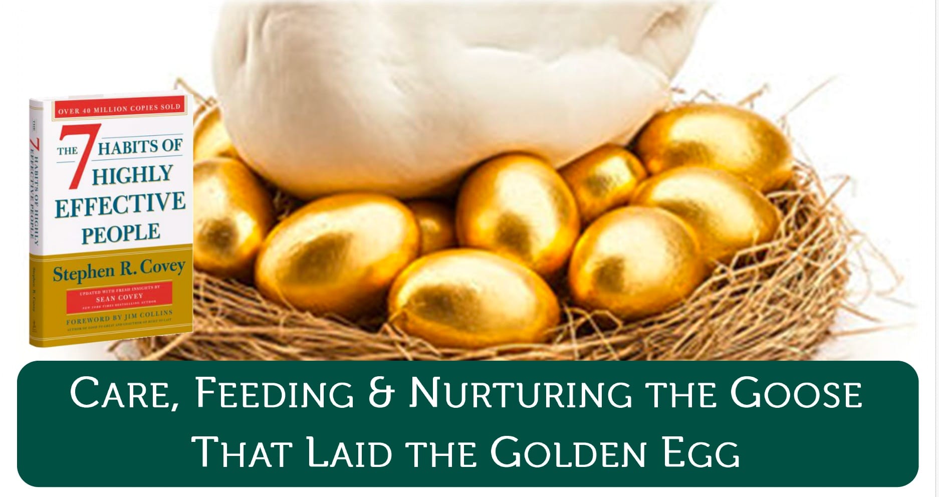 No alt text provided.